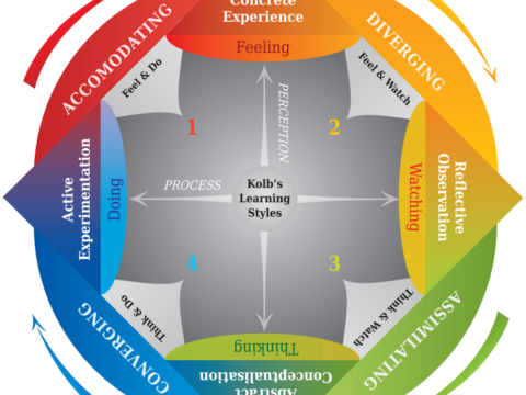 Organizational Learning and Kolb´s Learning Cycle